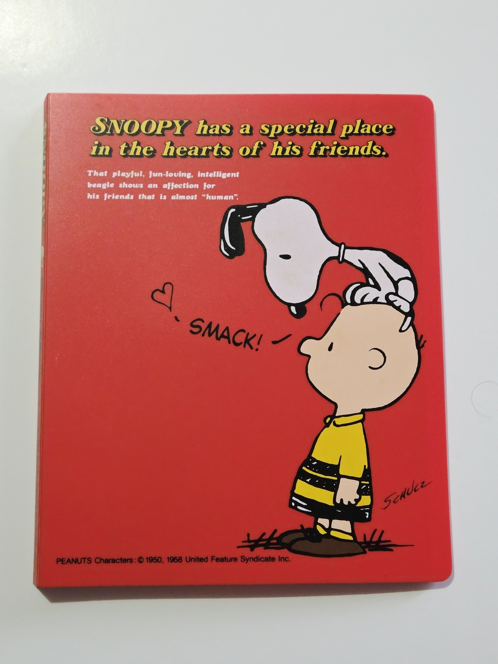 *3 for $30* Peanuts Snoopy & Charlie Brown Photo Album Book